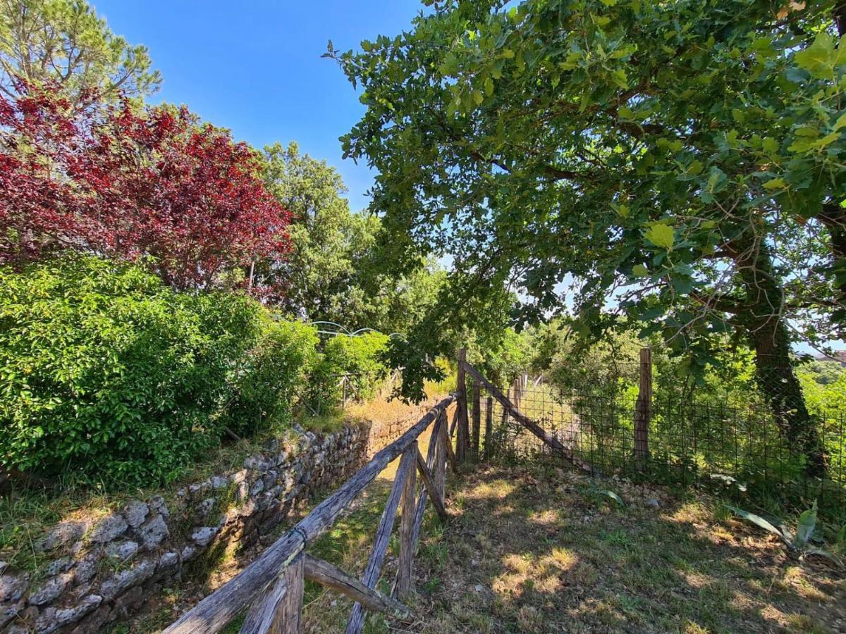 Villa Torre Medievale Il Castellaccio Civita Castellana Exterior foto